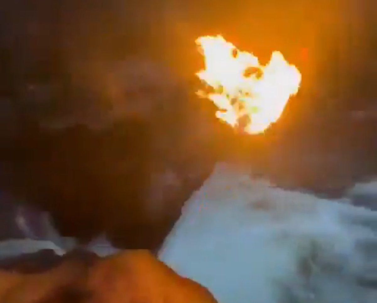 milanesaliberal tweet media