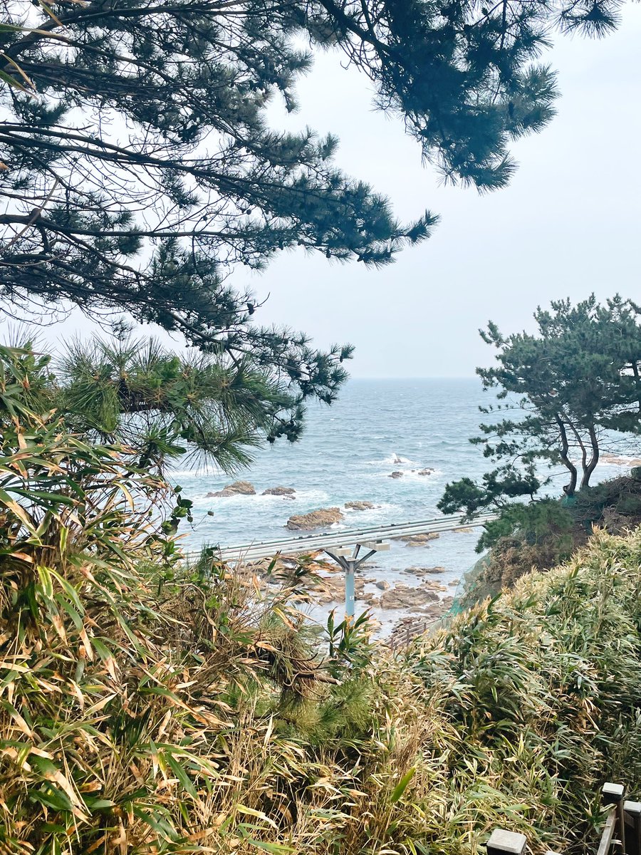 ㅈㅣ구 tweet media