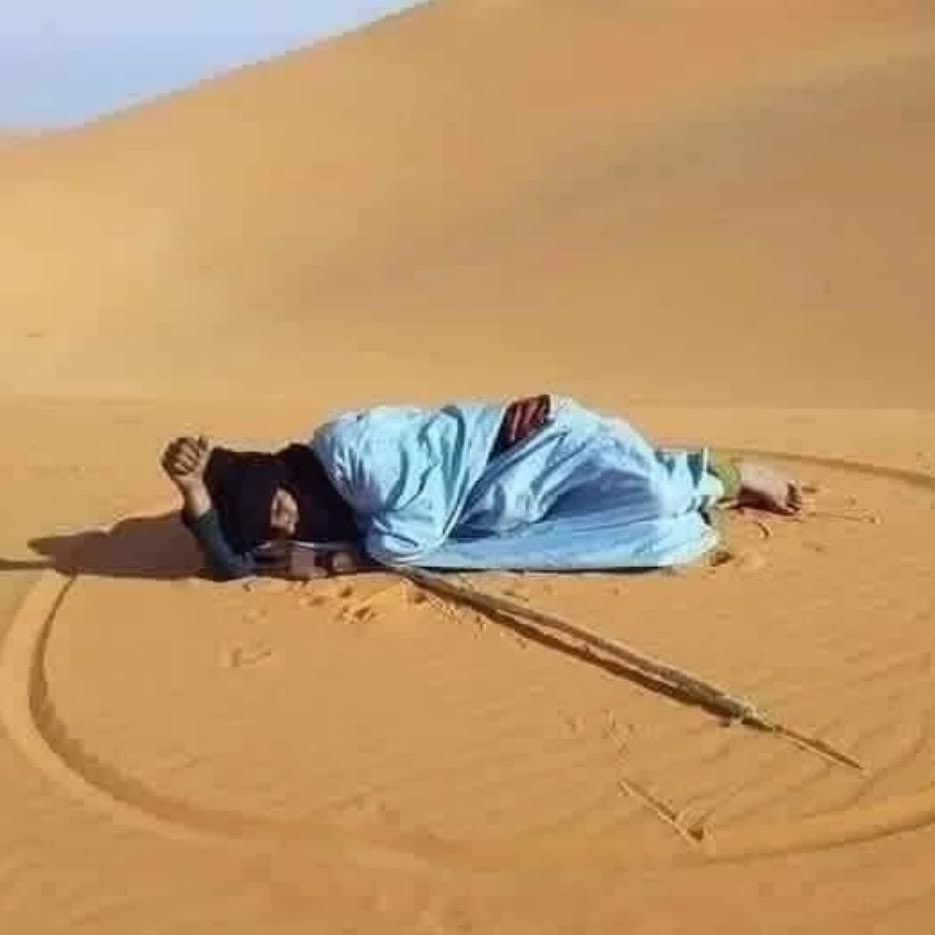 أسامة. tweet media