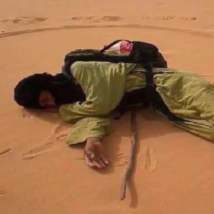 أسامة. tweet media