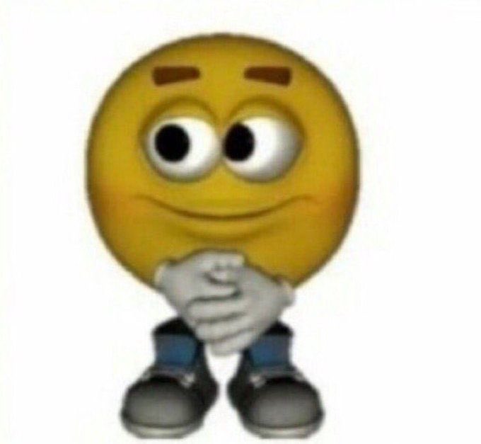 aninha𐙚 tweet media