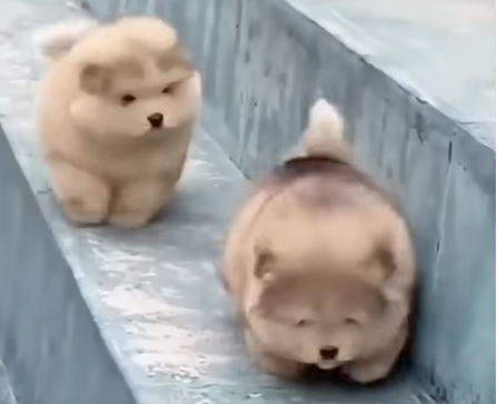 たぁーくん tweet media