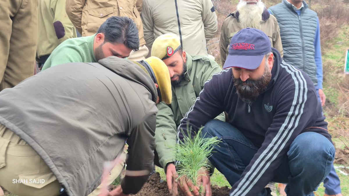 Divisional Forest Officer Pir Panjal Div. Budgam tweet media