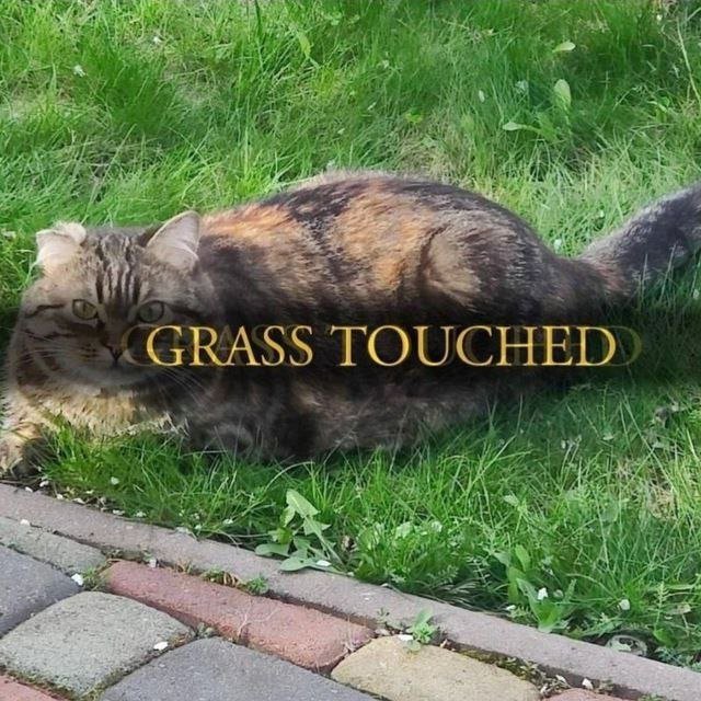 vx-underground tweet media