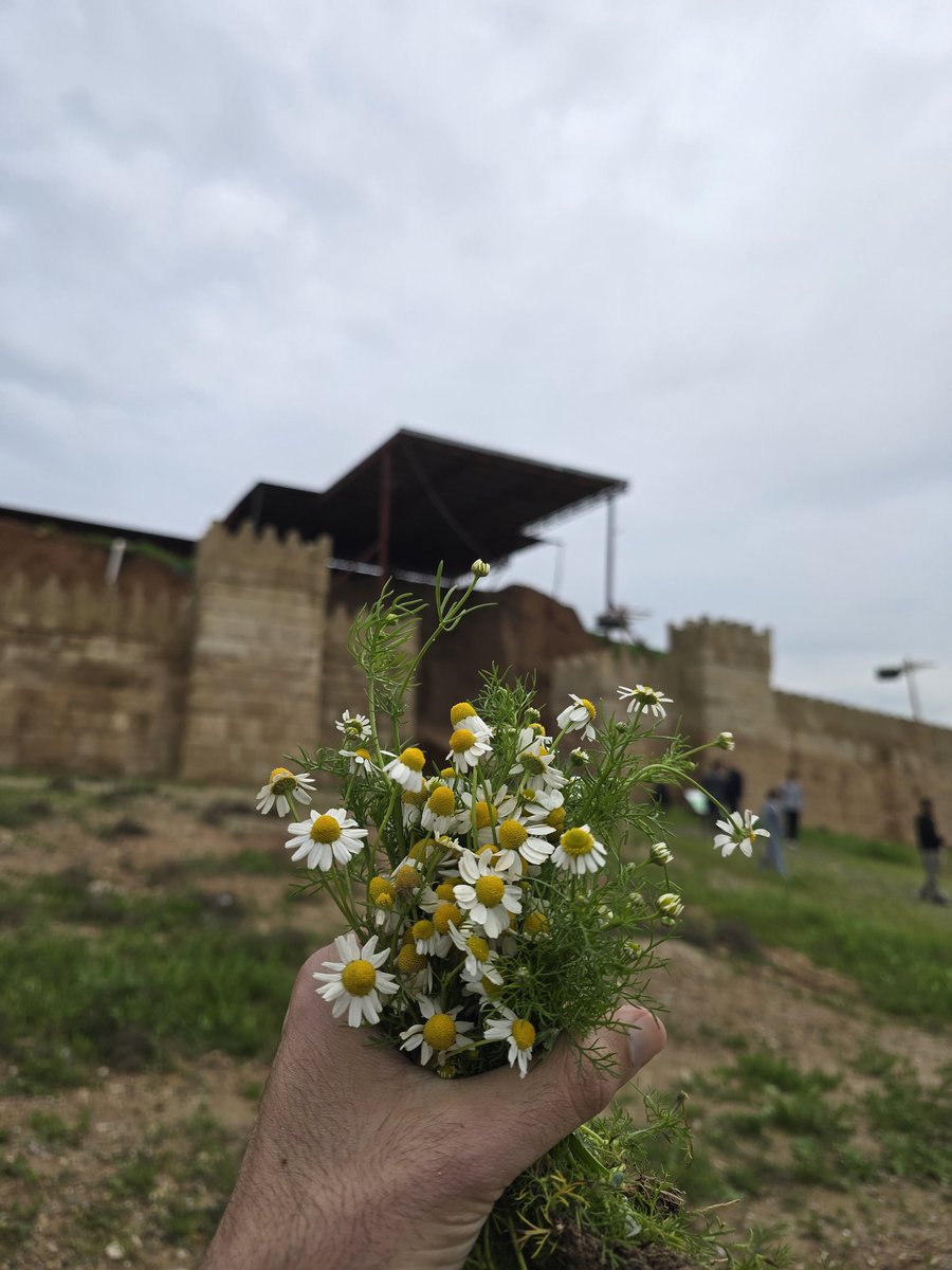 ‏أماكن العراق 🇮🇶 IRAQ PLACES tweet media