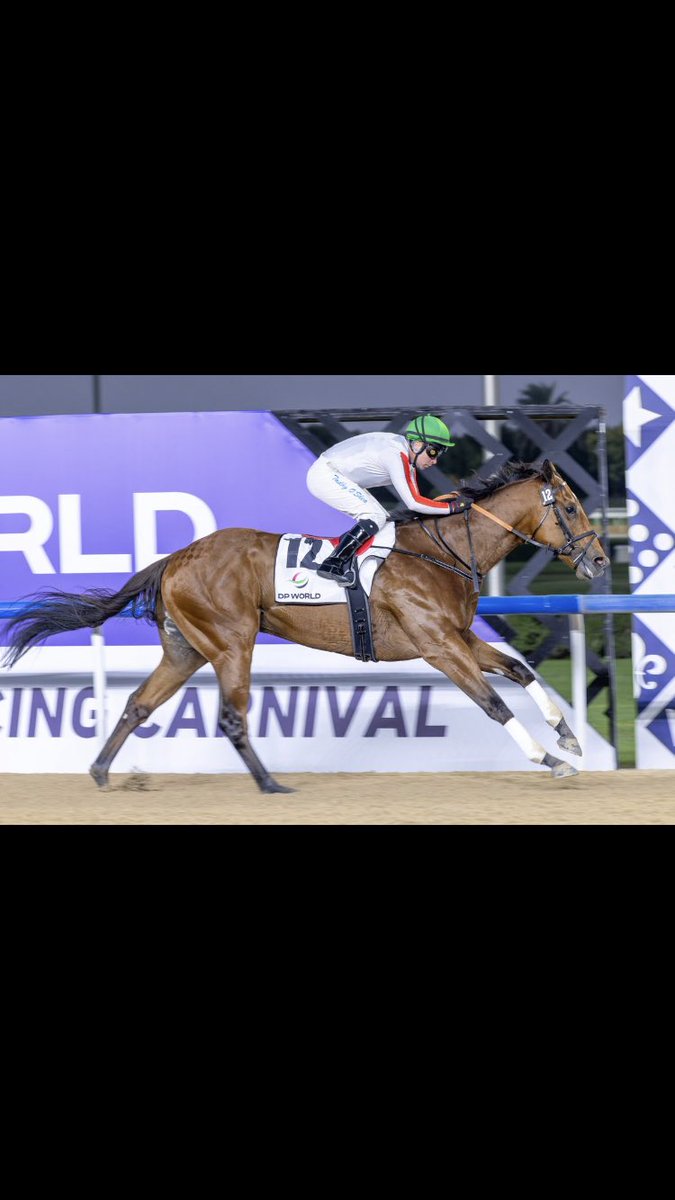 يزيد الجهني 🐎 tweet media