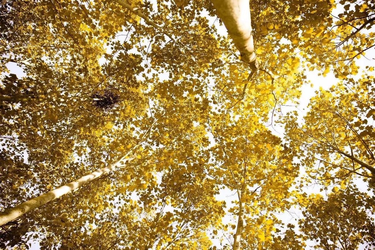 Debbie Theuma tweet media