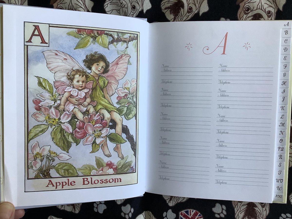 WatsonsVintage's tweet photo. This is ADORABLE. VINTAGE 2003 'Flower Fairies Address Book' - Stunning Book with Cicely Barker Colour Plates - Useful Vintage Birthday or Mother's Day Gift https://t.co/VsW1rBbUQO via @Etsy #VintageBooks #FlowerFairies #AddressBook #CicelyMaryBarker #Fairies https://t.co/5w9mUrvftt