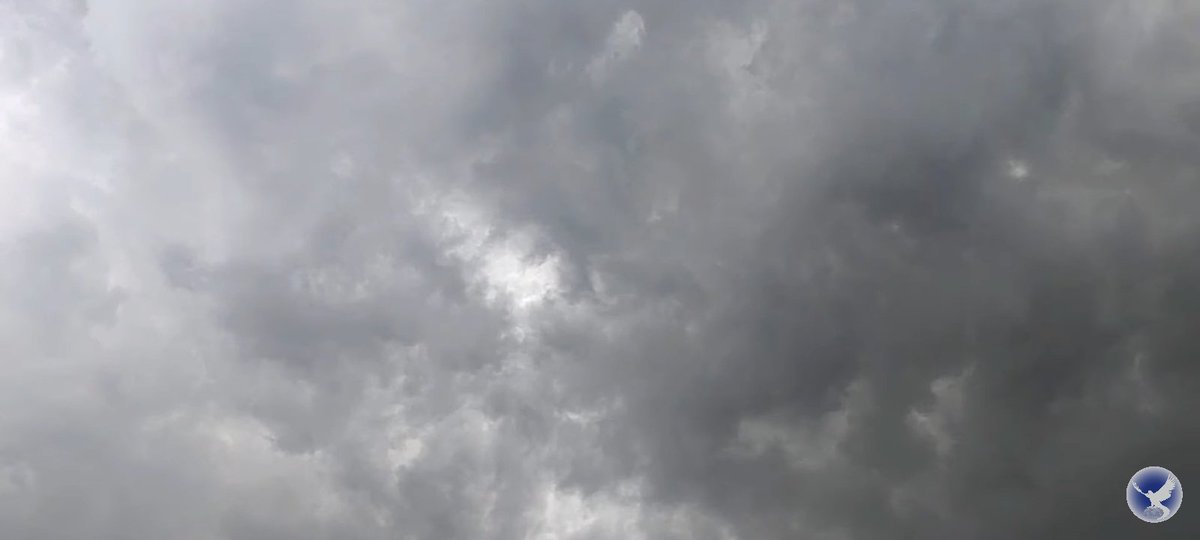 SilvanaVitorin8's tweet photo. ELIAS OROU A CHUVA CAIU 
ELIAS OROU A CHUVA CAIU
ELIAS OROU A CHUVA CAIU 
ALILILILILILI ALILILILILILI ALILILILILILI ALILILILILILI ALILILILILILI ALILILILILILI ALILILILILILI ALILILILILILI ALILILILILILI ALILILILILILI ALILILILILILI ALILILILILILI ALILILILILILI ALILILILILILI https://t.co/2TDZfQHgdW