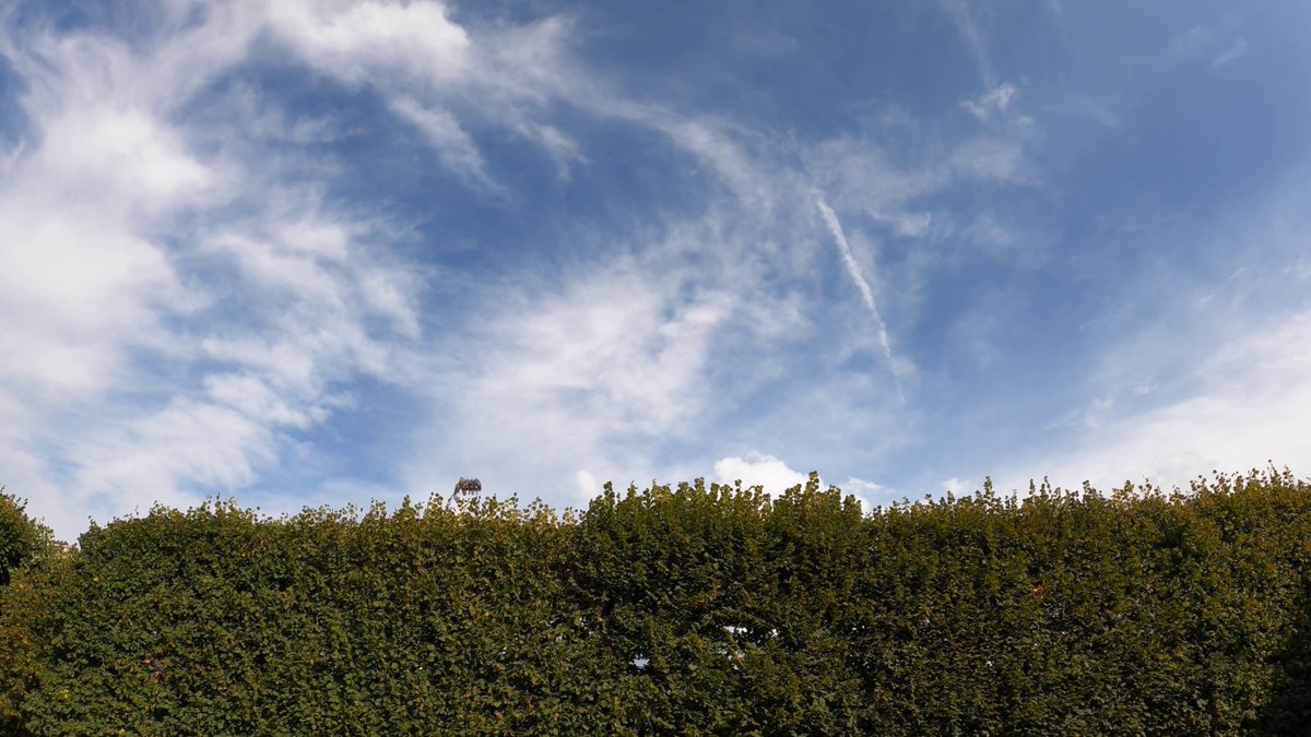 The Exploding Cinema tweet media