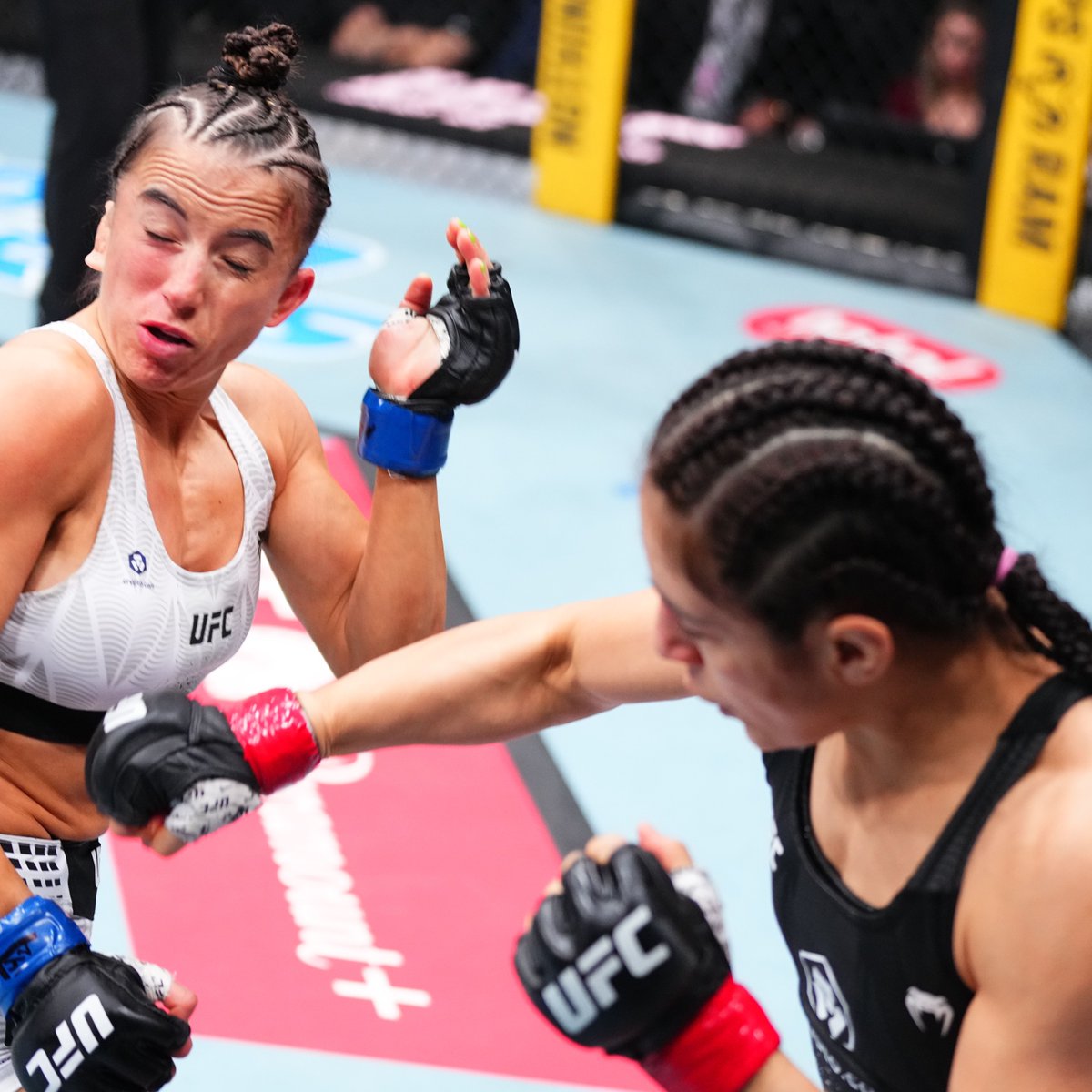 UFC Español tweet media