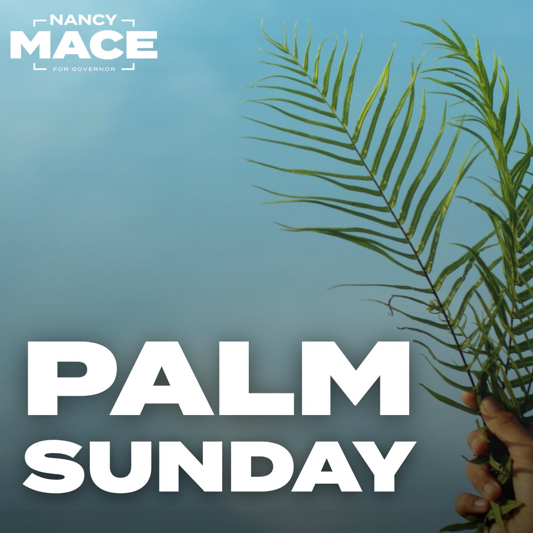 Nancy Mace tweet media