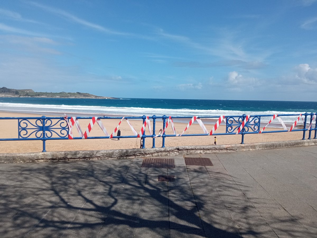 Chisco 💢 (en Invernalia 🏔️) tweet media