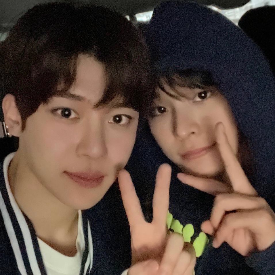 ๐ฐ๐น tweet media