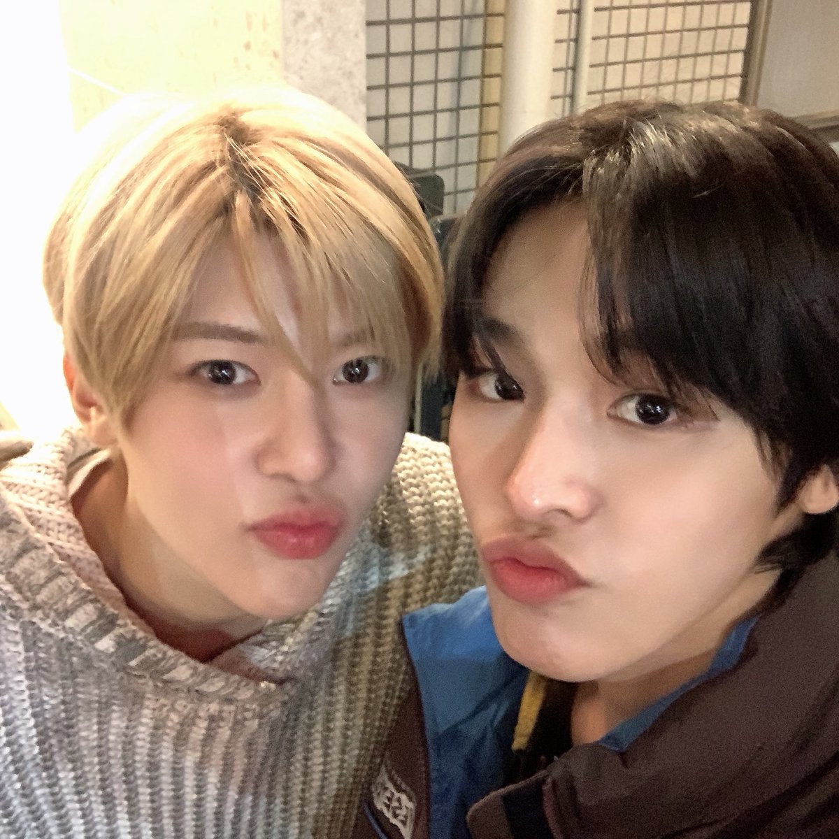 ๐ฐ๐น tweet media