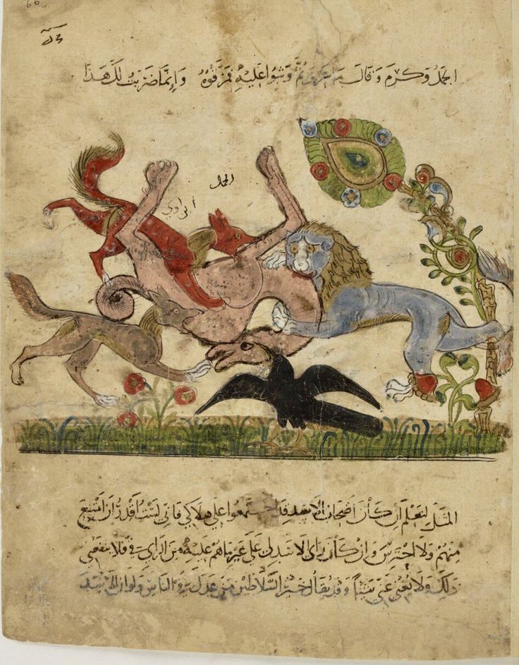 مصطفى tweet media