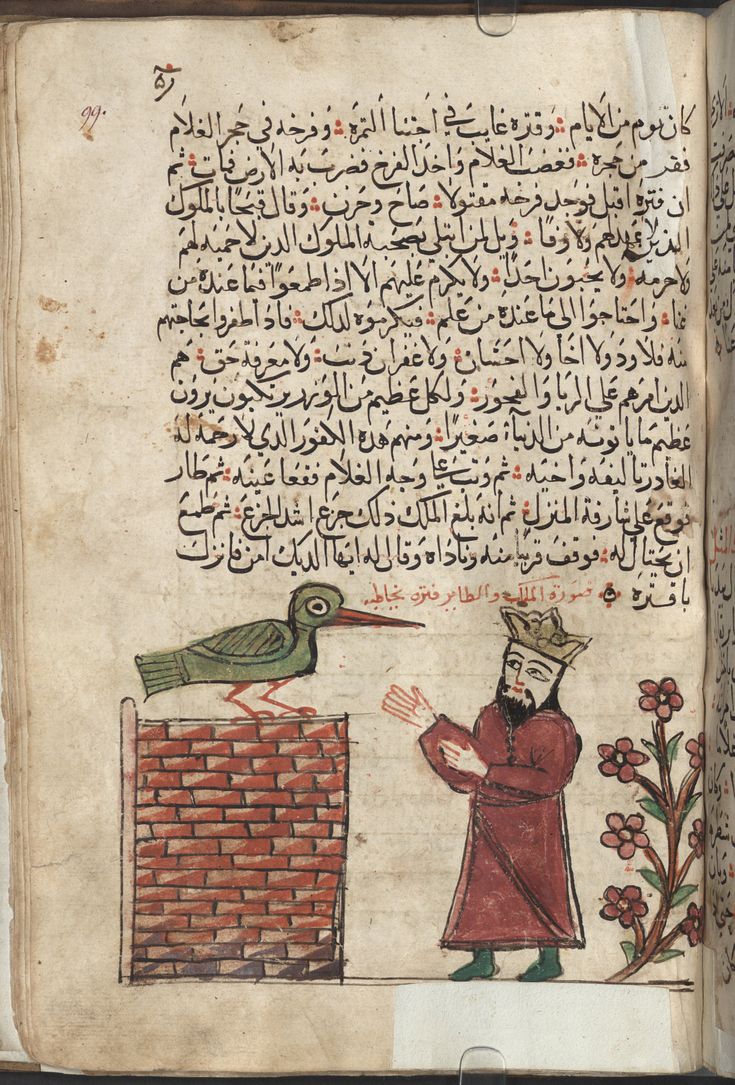 مصطفى tweet media