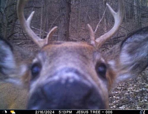 rei 🧃 tweet media