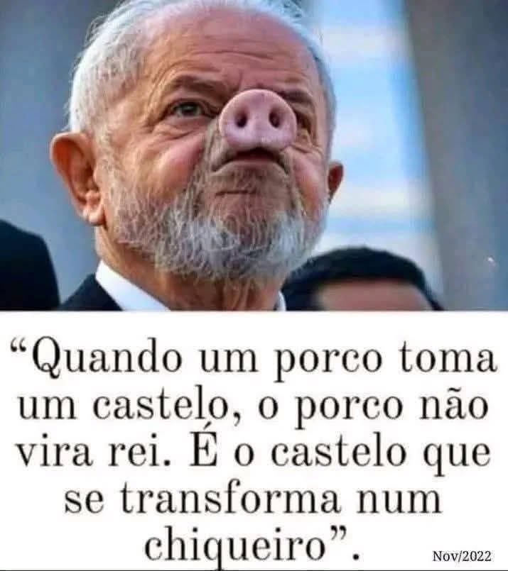 Mara Rubya tweet media