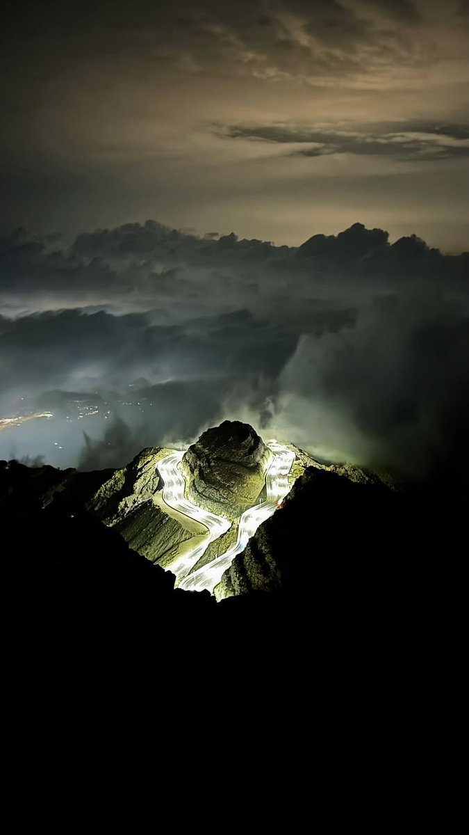 عبدالعّزيز tweet media