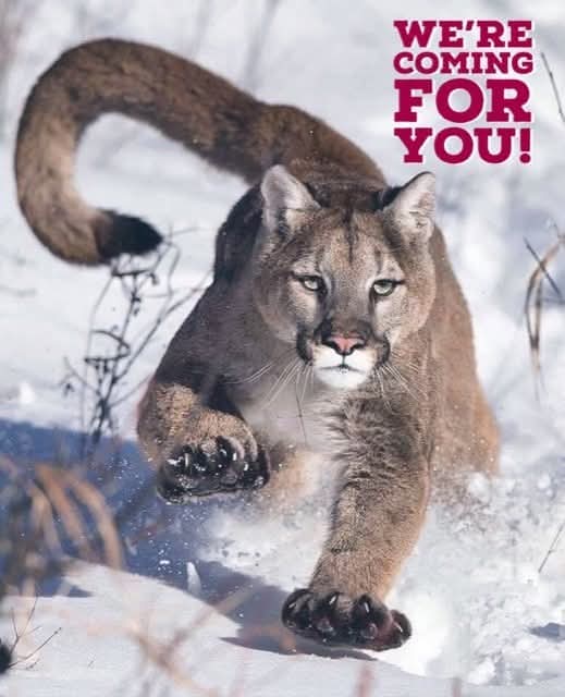 Debi Thein tweet media