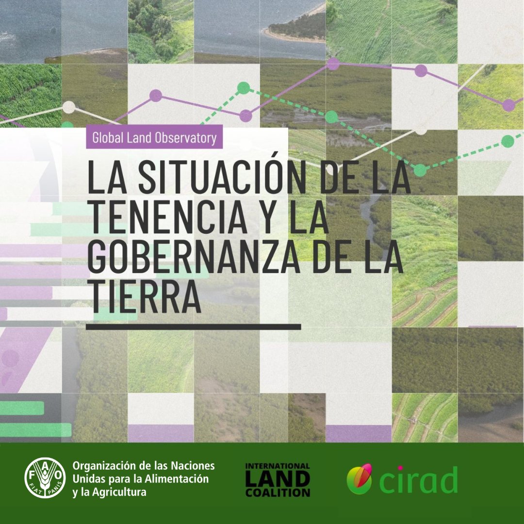 ⚠️🌱 Solo el 35% de las tierras en el mundo tiene documentación formal.

Un nuevo informe de <a href="/FAO/">Food and Agriculture Organization</a>, <a href="/landcoalition/">Land Coalition</a> y @CIRAD advierte que la inseguridad de tenencia afecta la seguridad alimentaria y la lucha contra el cambio climático.

Lee el informe aquí ➡️bit.ly/46q94Gu
