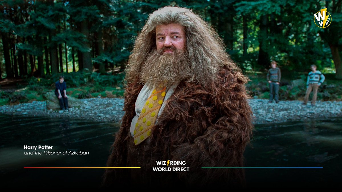 Wizarding World Direct tweet media