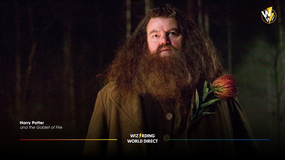 Wizarding World Direct tweet media