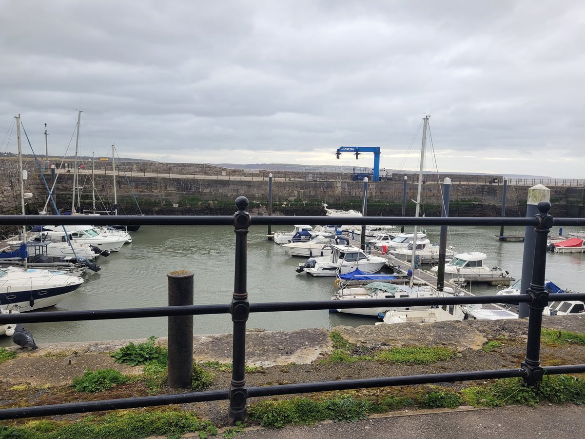 Stephen Djones tweet media