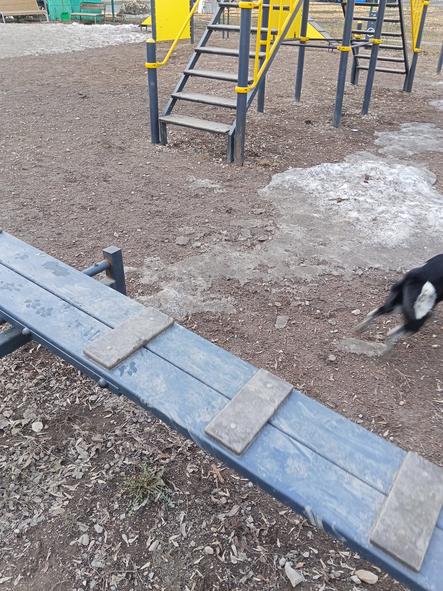 Подвальный этаж tweet media