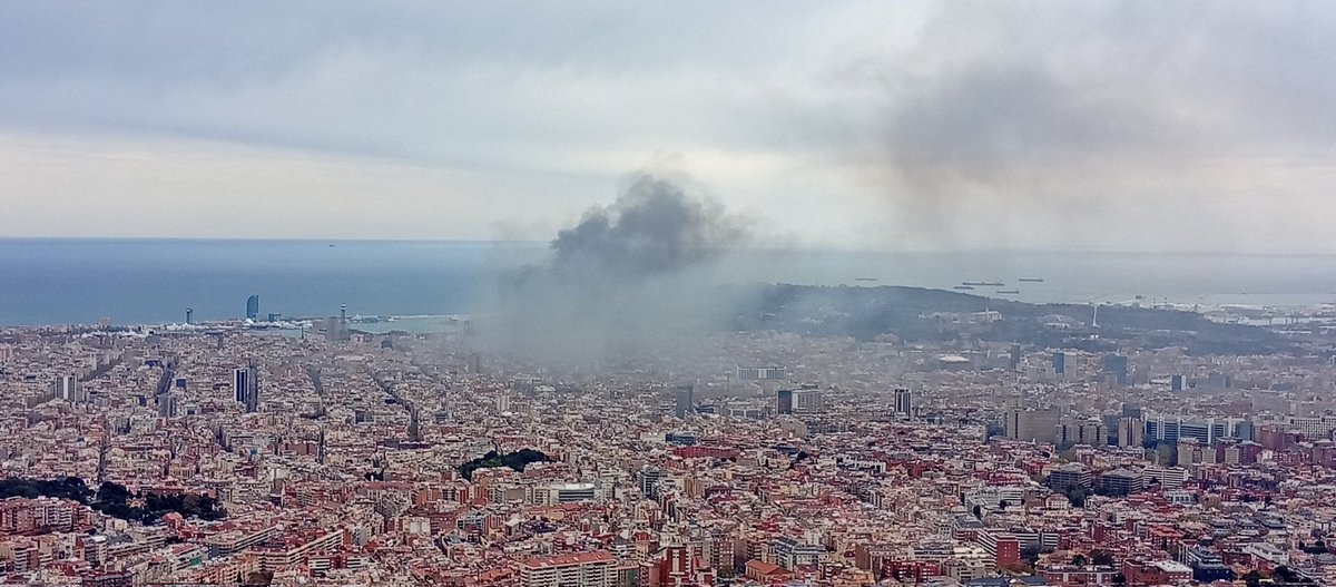 meteopolita's tweet photo. Matí al #ObsFabra #RACAB molt bona visibilitat però trencada per la columna de fum provinent del Port. L' altre protagonista la baixa humitat- voltant el 15/20%- q ja ha provocat diverses enrampades amb la reixa metàlica. En una d' aquestes semblaré una calcomania a la reixa XD https://t.co/BBkMmwpp0C