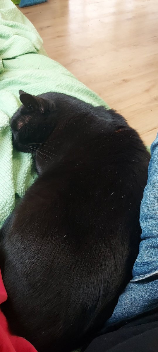 DarkDenic tweet media