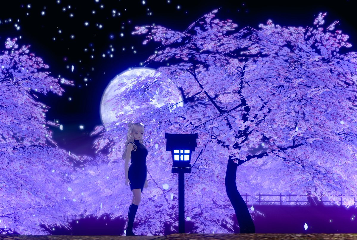 🐾JUNON/じゅのん tweet media