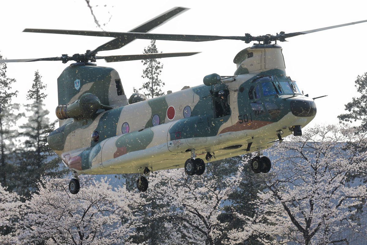 2026.3/29 熊谷基地さくら祭り
入間ヘリ空輸隊 CH-47J 37-6501
初めての熊谷。満開のタイミングだったので撮りたかった桜バックのチヌーク上りをやりたく向かいましたが予報に反して晴れて逆光な上に観覧場所が見にくくまた行かねば...
