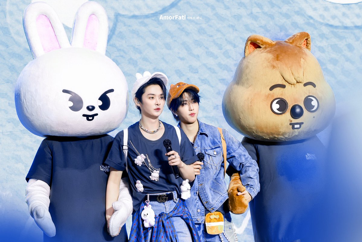 아모르 파티 tweet media