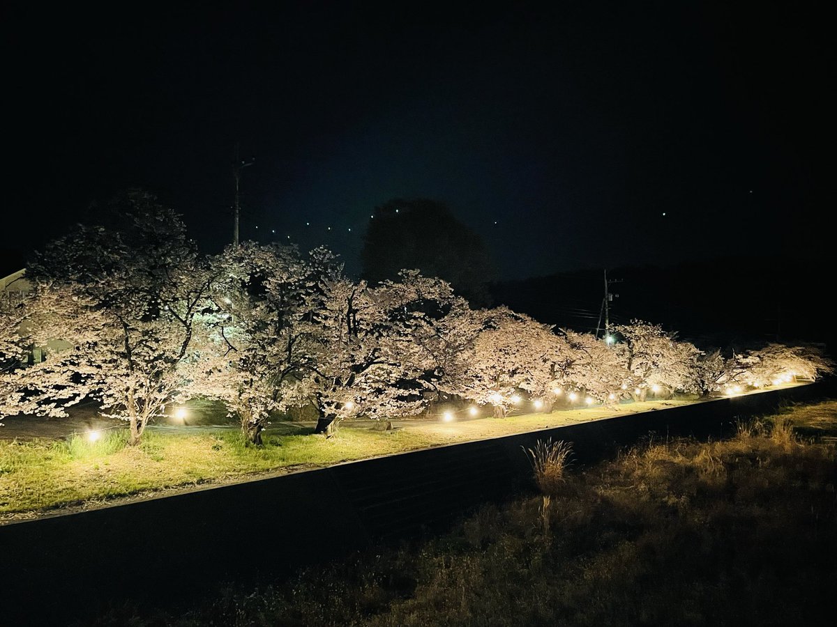 PuddingToofu tweet media