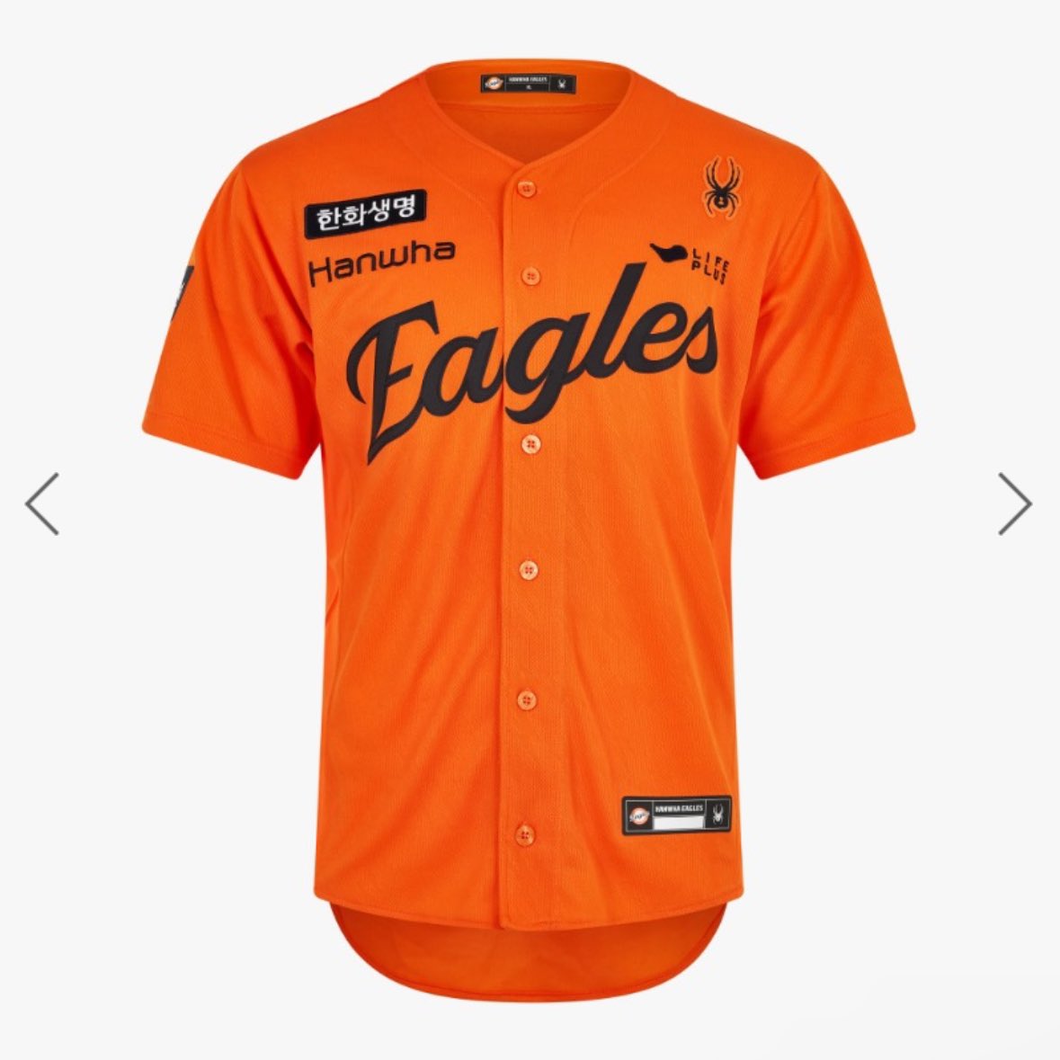 제발은이제감정제발 tweet media