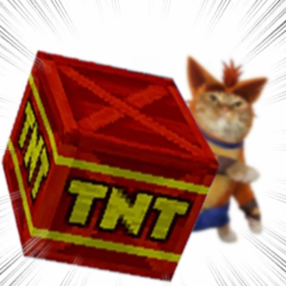 Throwing Things Daily tweet media