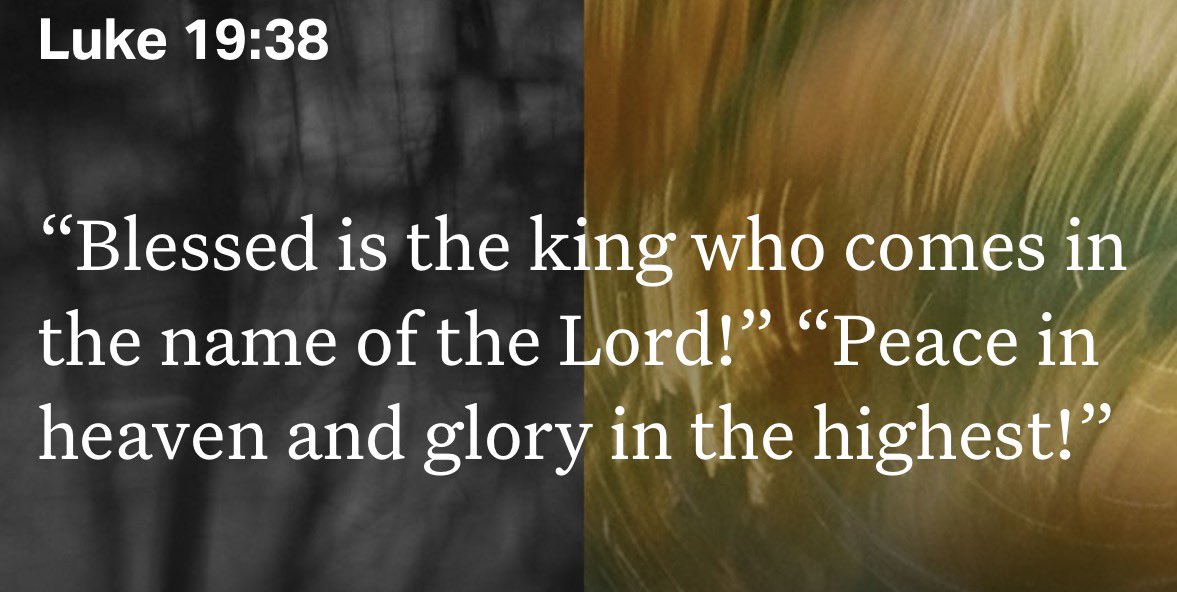 EdieAnneG tweet media