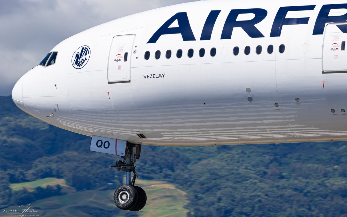 Olivier Hoarau tweet media