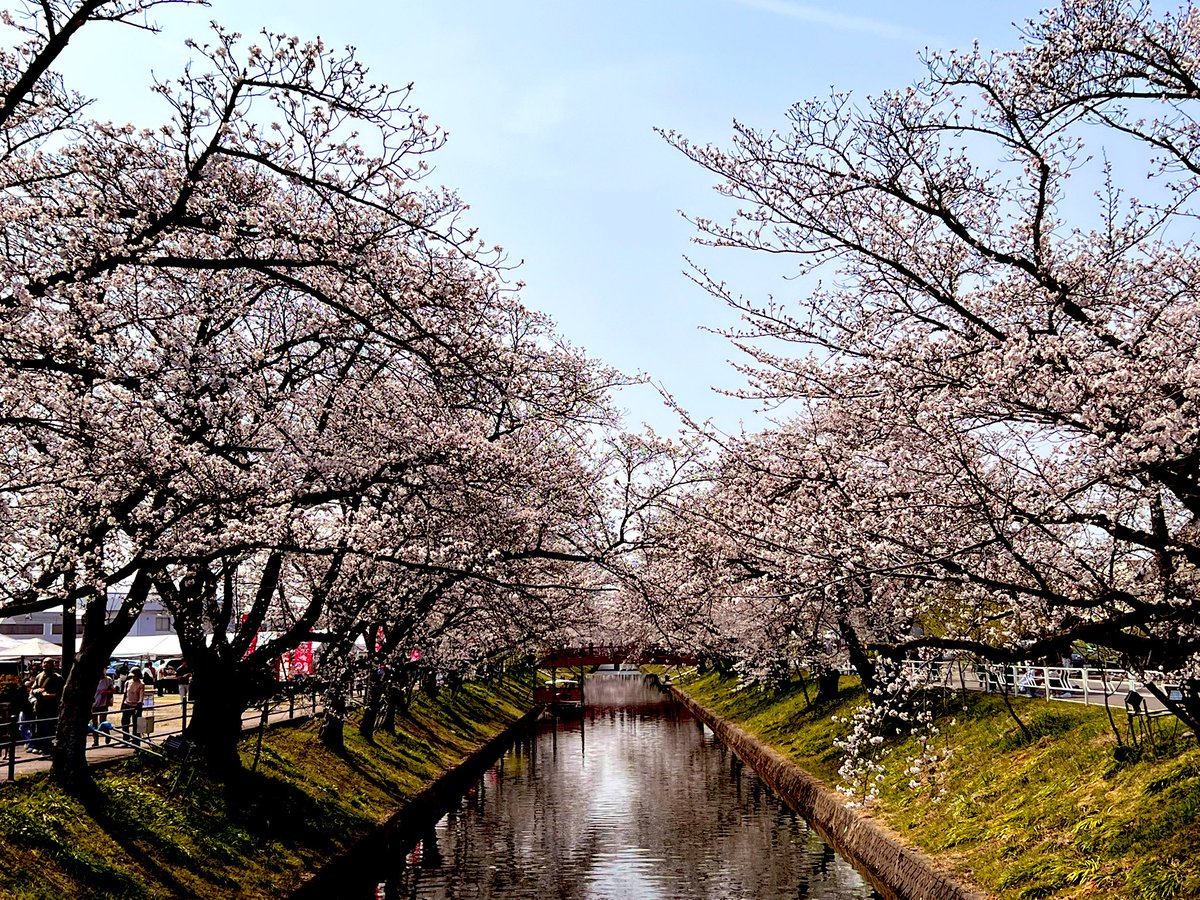 みきぱい৺ ৺ tweet media