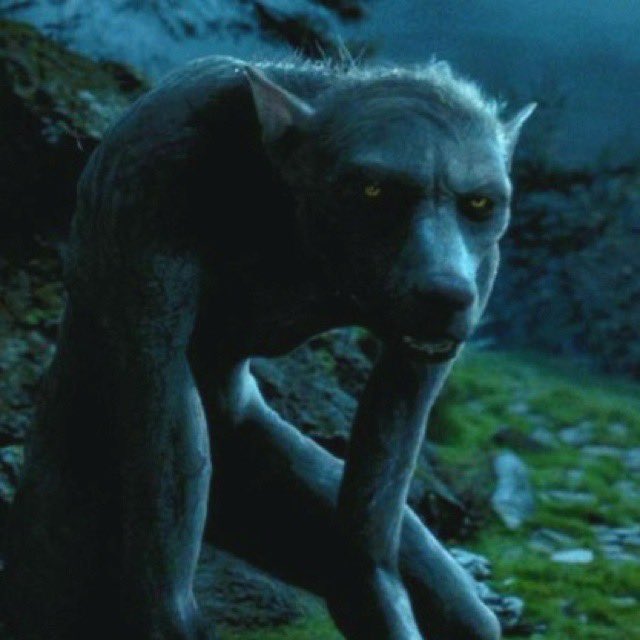 Acervo Remus Lupin tweet media