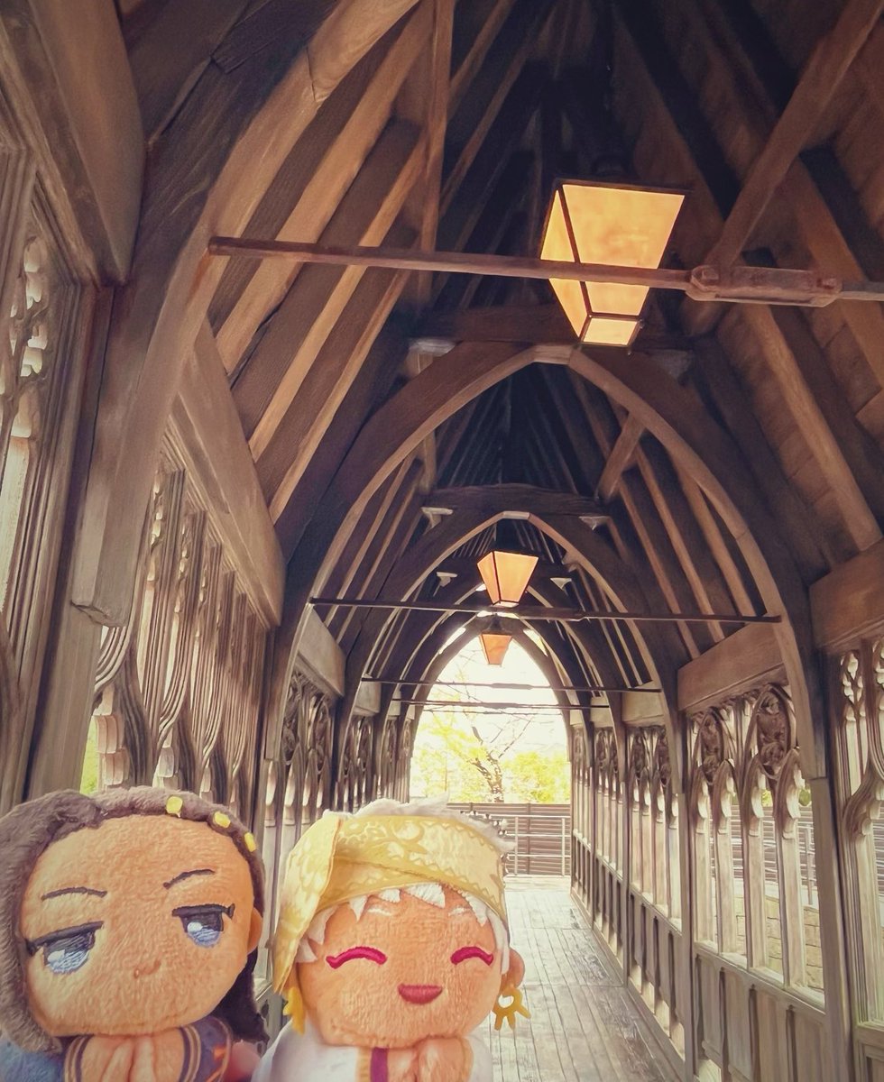 こおり(うみの) tweet media