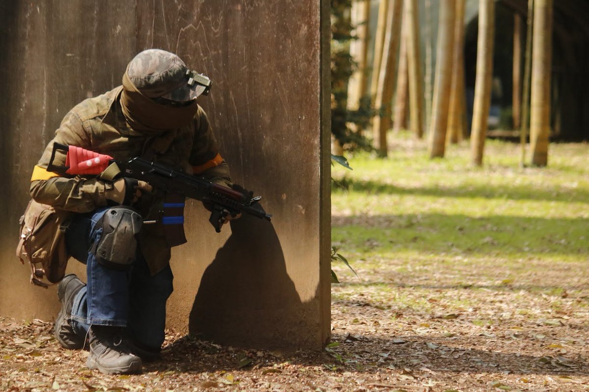 鹿MILI@効果的な花粉対策はチェンソーしかありません。 tweet media