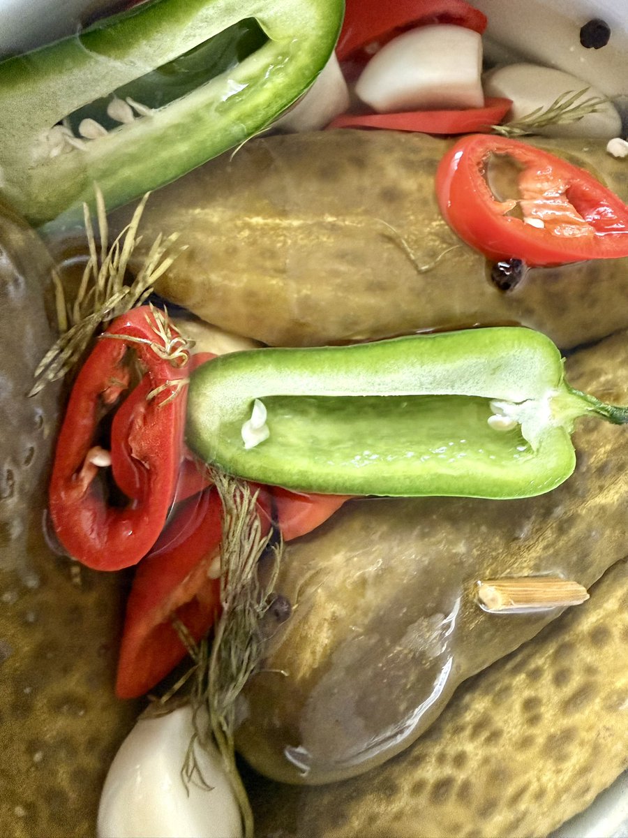 Tomass Finks ❤️🇺🇦 tweet media