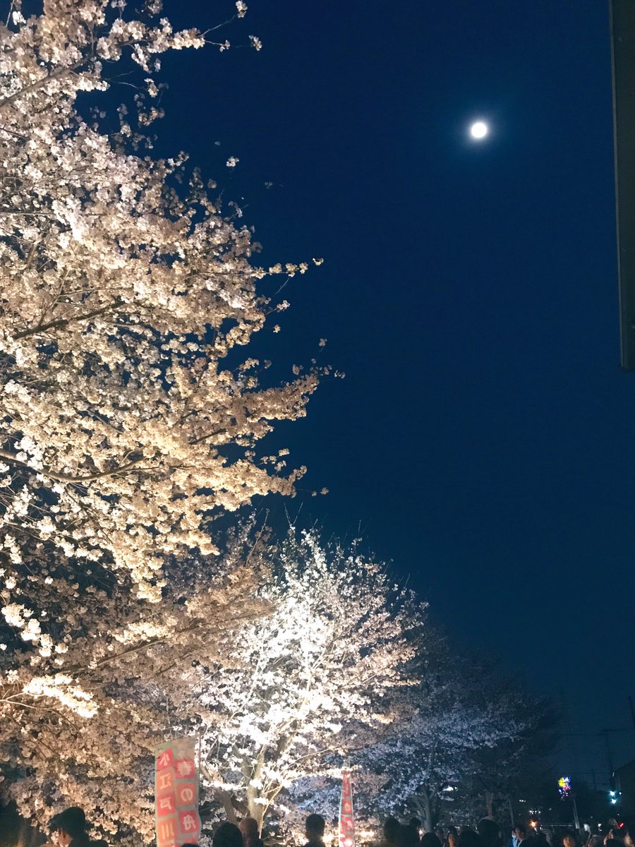 雑貨屋 Mitte／Gallery Mitteplatz tweet media