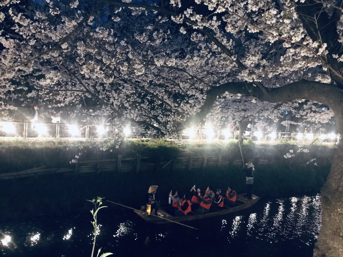 雑貨屋 Mitte／Gallery Mitteplatz tweet media