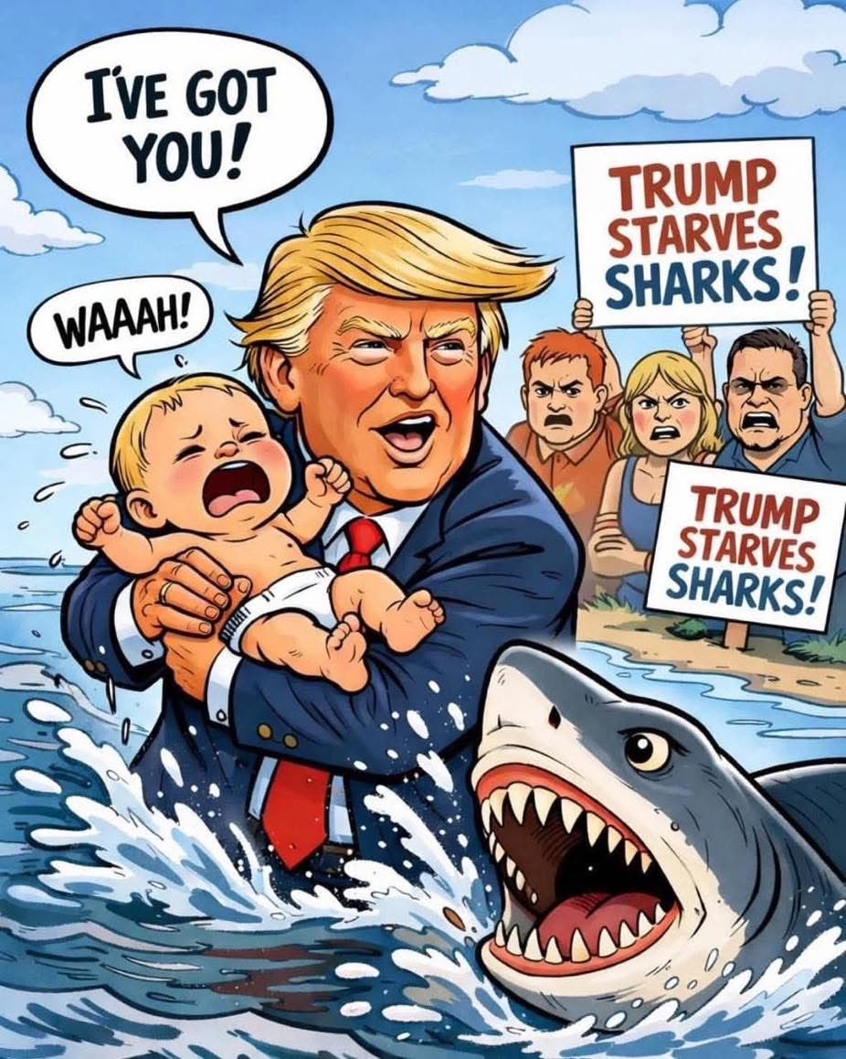 David Brod tweet media