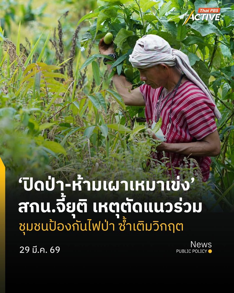 The Active tweet media