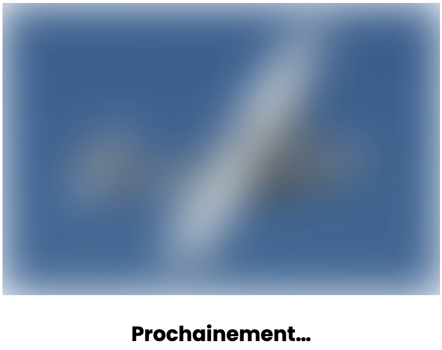 Chief Bullshitness Officer tweet media